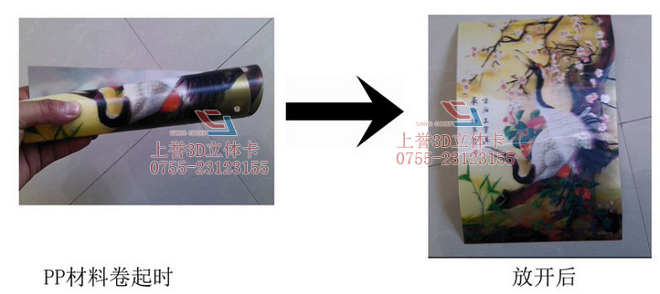 20140208154221.jpg 20140208154221.jpg