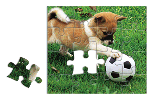 1289931604.gif 1289931604.gif